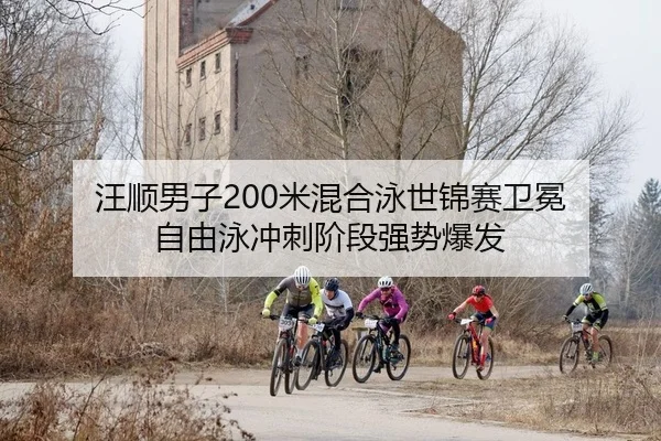汪顺男子200米混合泳世锦赛卫冕 自由泳冲刺阶段强势爆发